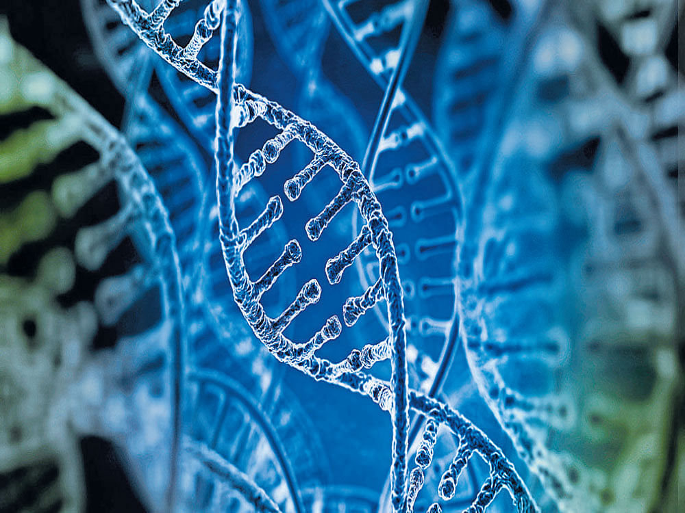 Genetic disorders form a major group of non-communicable diseases. Congenital malformations and genetic disorders are the third common causes of mortality among infants in cities.