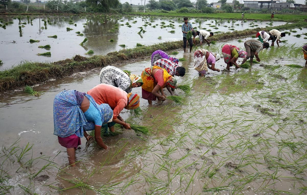 India should provide incentives to farmers to adopt efficient water use to avert a looming crisis, according to the Economic Survey presented by Finance Minister Nirmala Sitharaman in parliament. PTI file photo