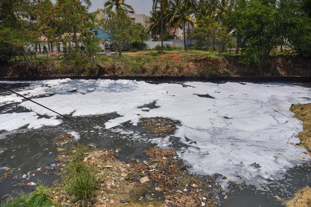 Foam is seen in Bellandur lake (DH File Photo)