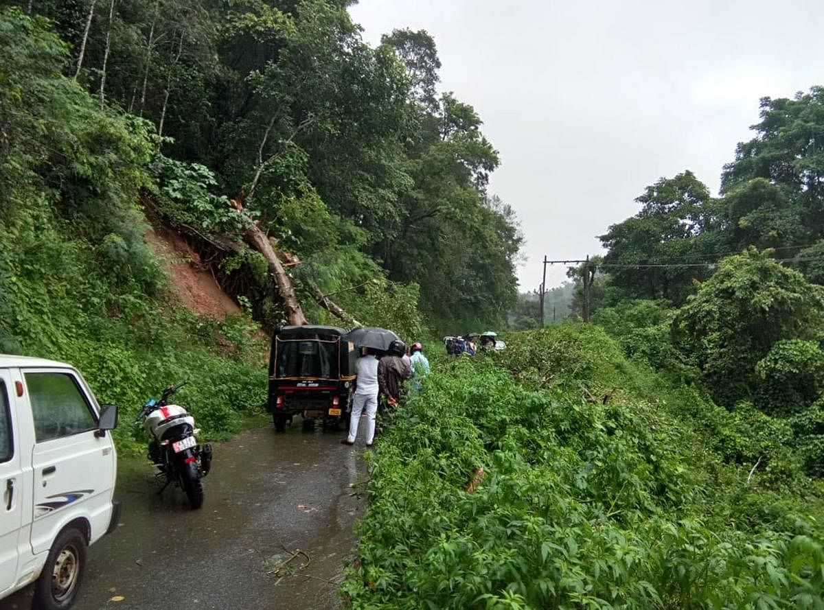 A landslide affected the movement of vehicles on Kundooru-Mudigere Road at Thathkola in Mudigere taluk.