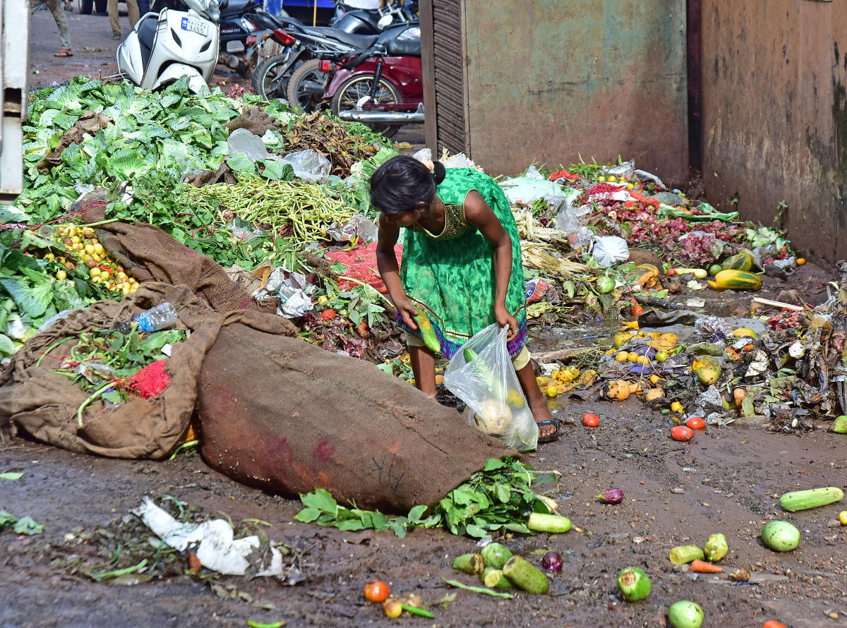 A girl forages for edible vegetables in the garbage near Central market in Mangaluru. (DH Photo/Govindaraj Javali)