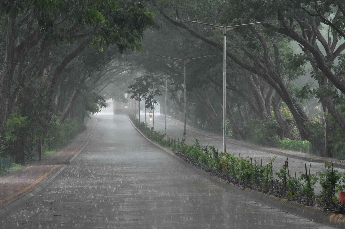 The University of Agricultural Sciences campus in Dharwad as rains lashed the twin cities on Sunday. DH Photos
