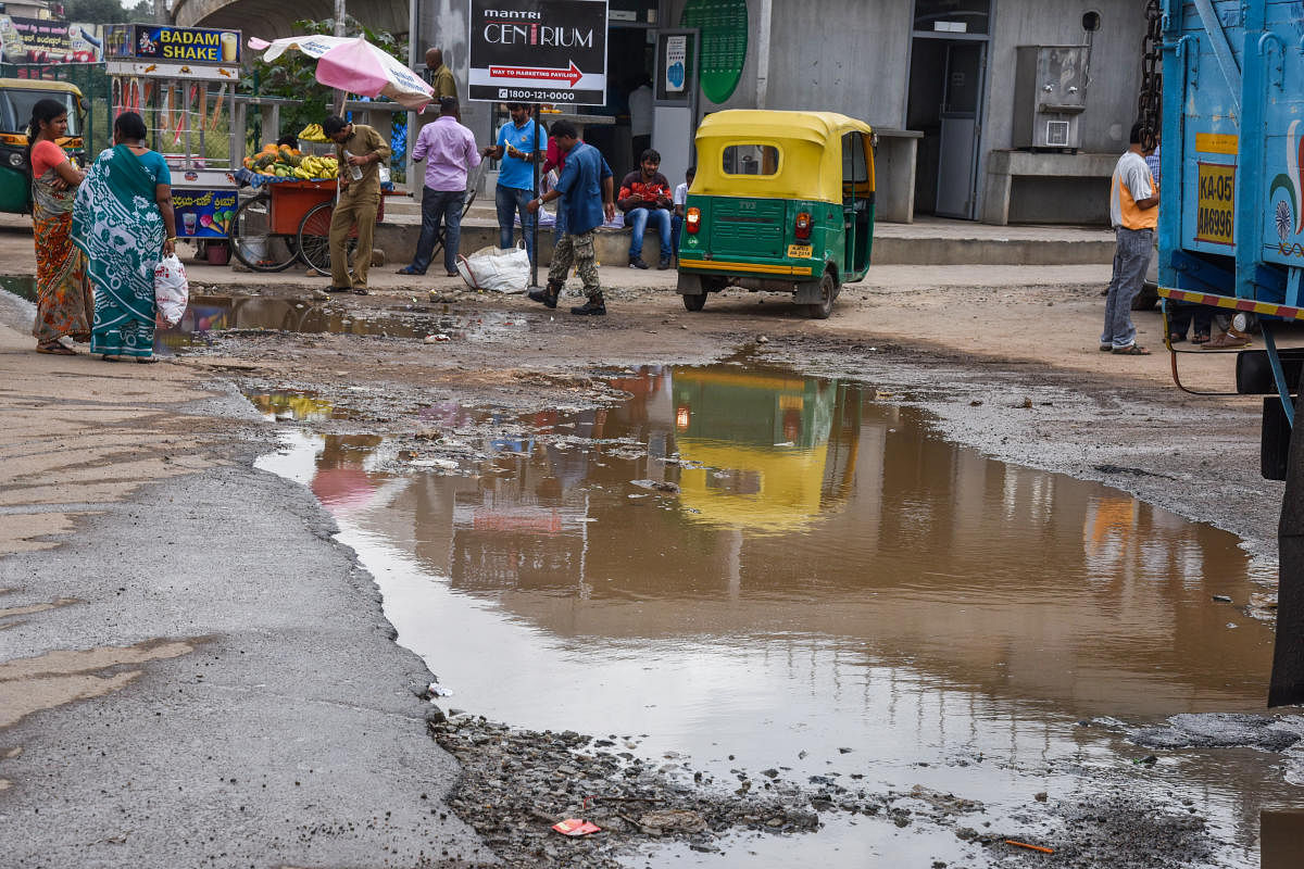 Stagnant water at poorly maintained roads becomes a breeding ground for mosquitoes. Sampige Road, starting from Mantri Mall in Malleswaram, is full of potholes filled with dirty water.