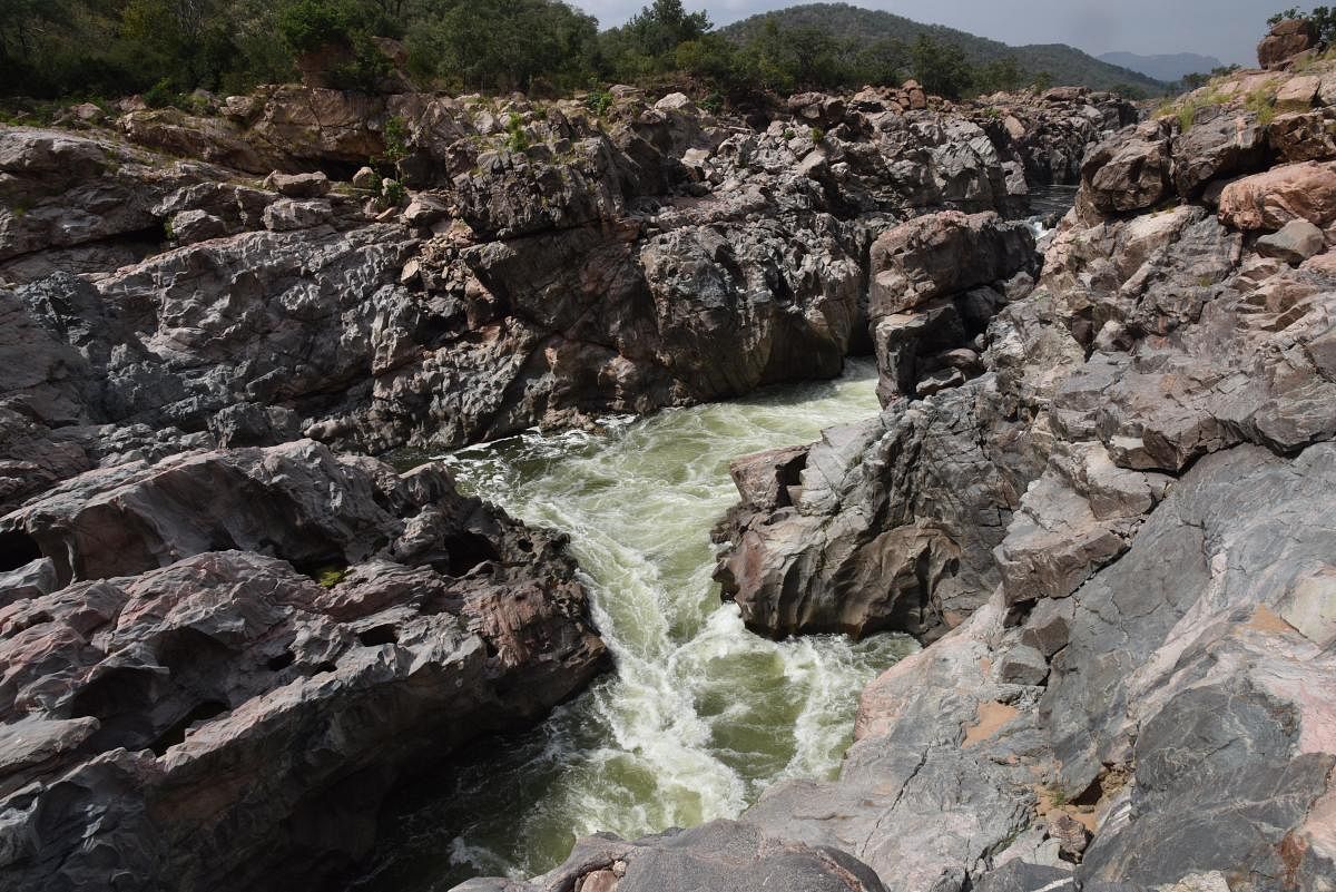 Karnataka has sought permission from central agencies concerned for Environmental Clearance (EC) for Mekedatu Balancing Reservoir and Drinking Water Project across Cauvery river. DH file photo