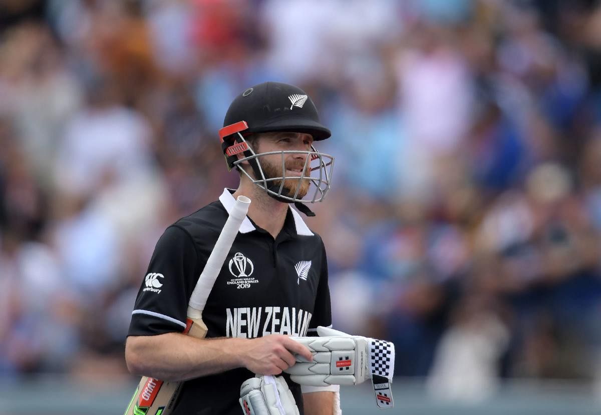 "No one lost the final," New Zealand skipper Kane Williamson said. (AFP Photo)