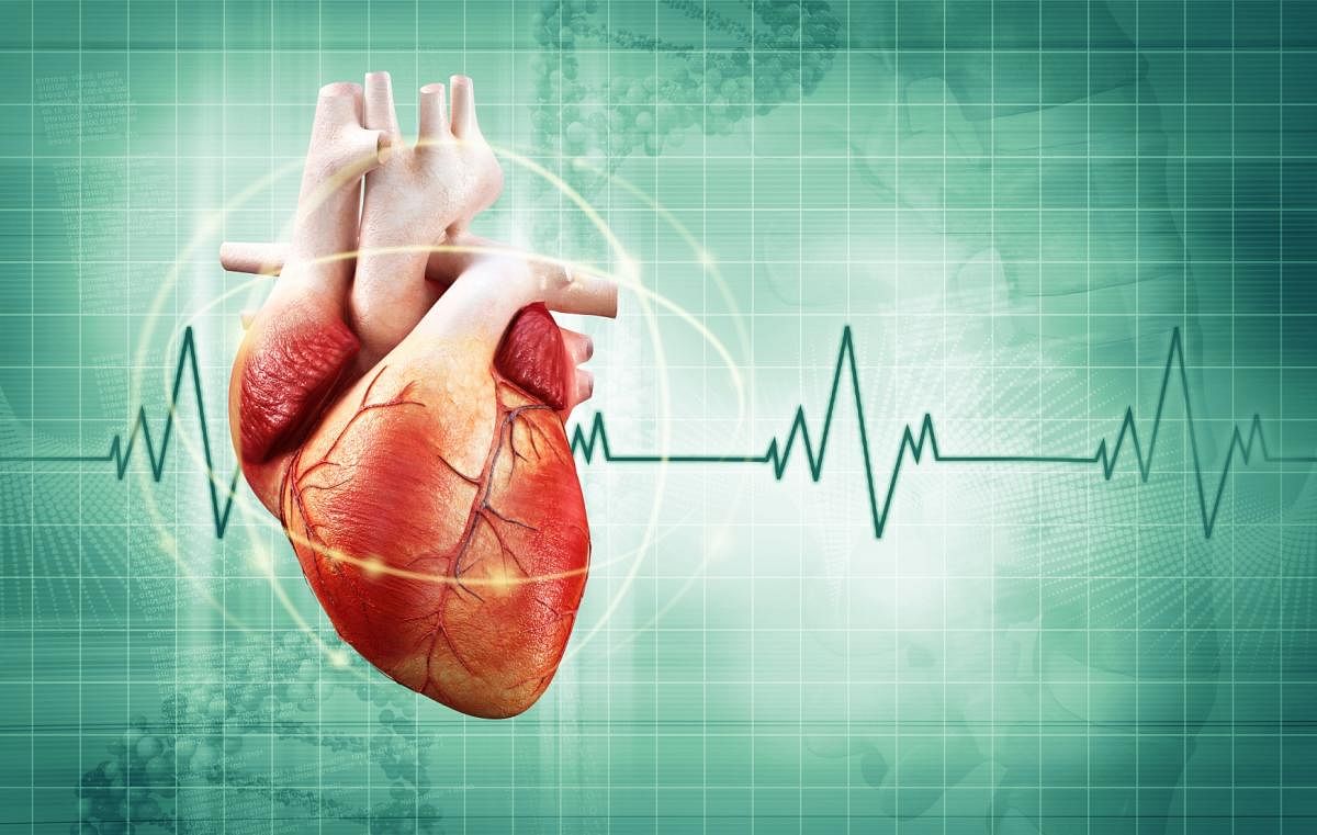Researchers have discovered a previously unidentified cell population which could lead to new treatments for patients with injured hearts. (File Photo)