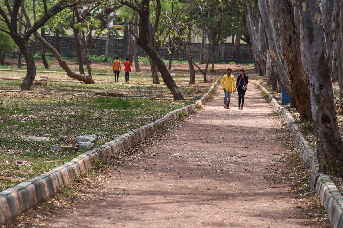 The track along the Lalbagh Lake next to the RV Teachers' College corner has been levelled, making it suitable for jogging. DH PHOTO/S K DINESH