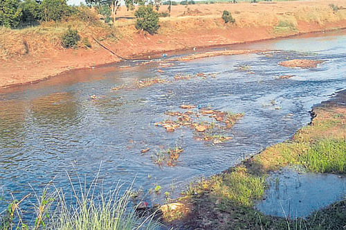 Water released from Maharashtra flows into River Doodhganga near Eksamba in Chikkodi taluk in Belagavi district on Thursday. Dh photo