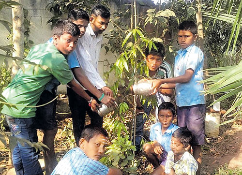 The target for tree plantation has been enhanced from two crore to 50 crore. DH file photo