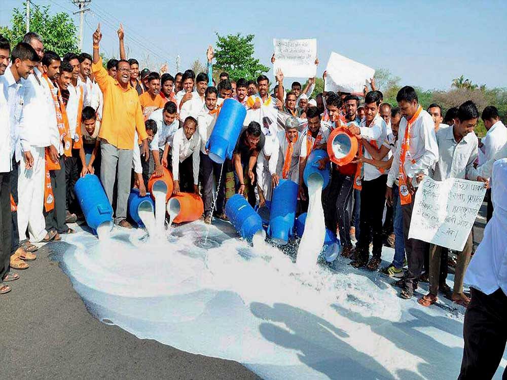 Farmers spilling milk on the road during their state-wide strike over various demands at a village in Ahmednagar, Maharashtra on Thursday. PTI photo