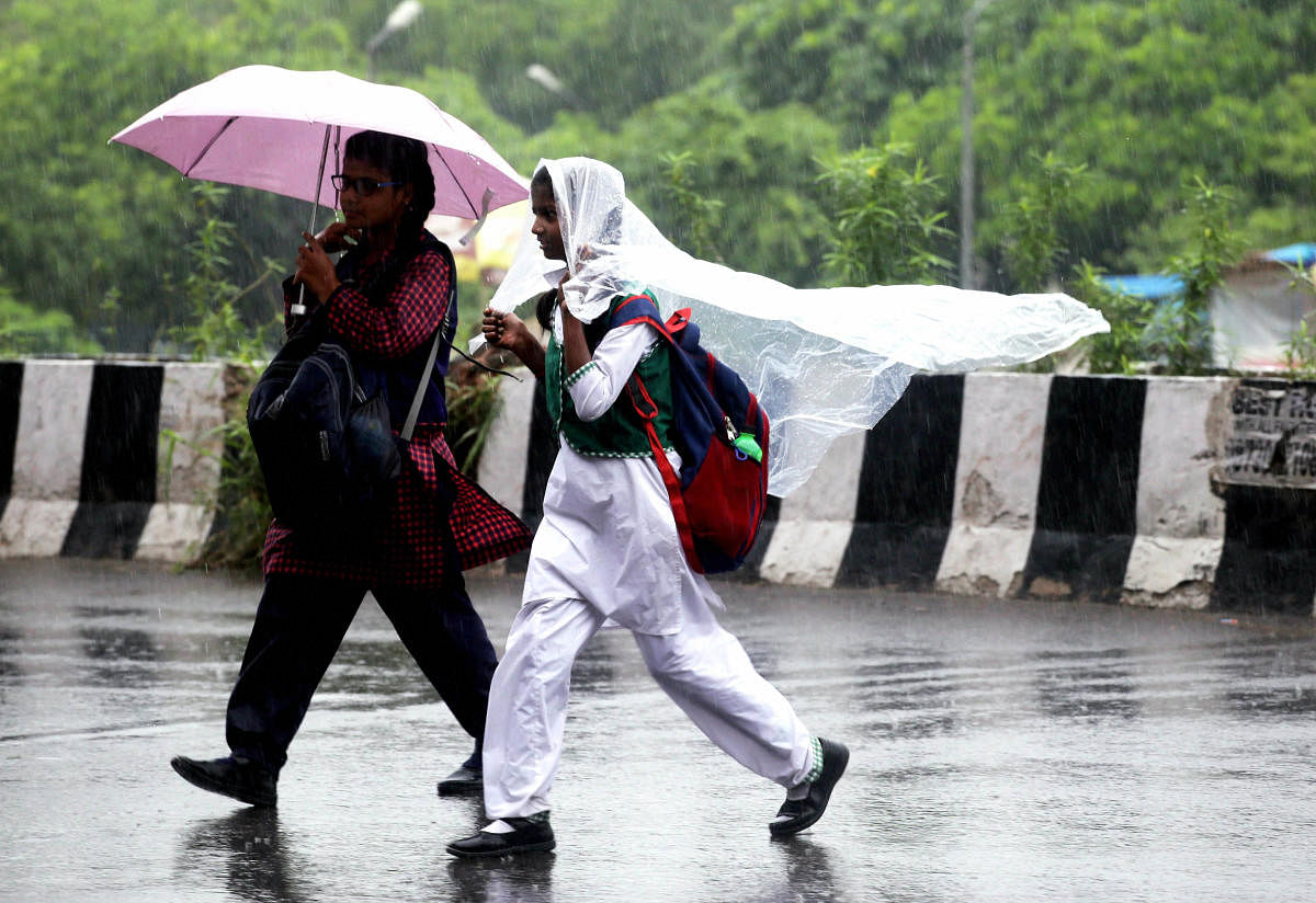 Five districts have received excess rainfall while 10 recorded a deficit and two scanty rains, according to the water resources department here. (PTI File Photo)