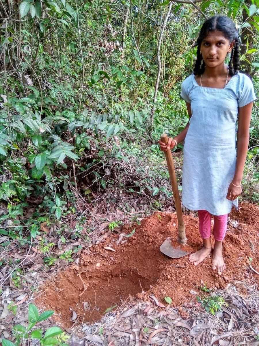 Supriya has dug 20 percolation pits around her house.