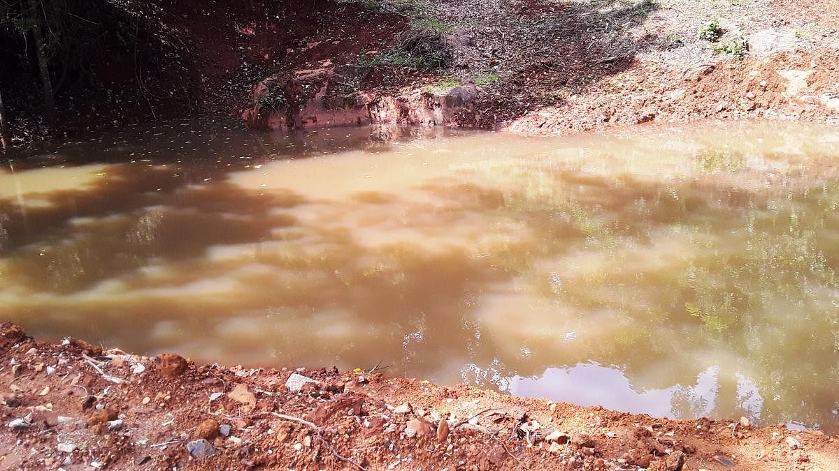 The Kemmannugundi Kere situated near Doragalli in Koppa taluk.