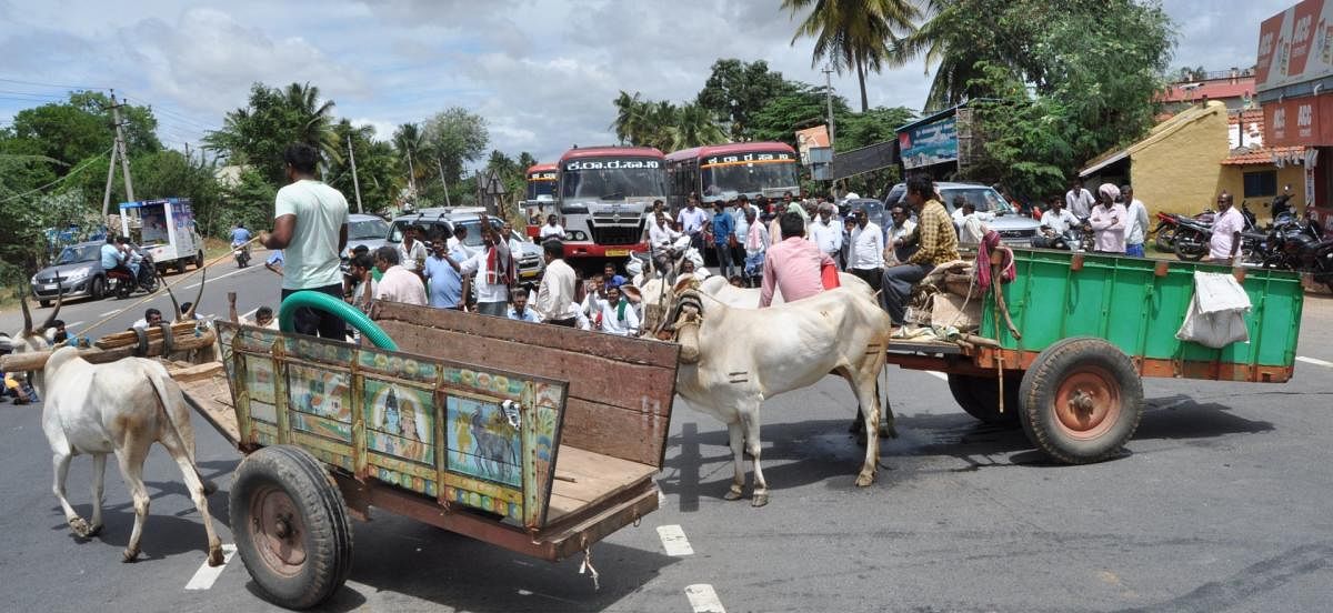 Farmers block the Mysuru-Bengaluru National Highway as a mark of protest against the release of water to Tamil Nadu from the Krishnaraja Sagar Dam, at Indavalu, near Mandya, on Saturday. DH Photo