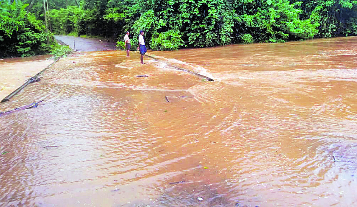 A view of the inundated bridge at Chelyadka.