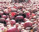 India imports onion from Pakistan