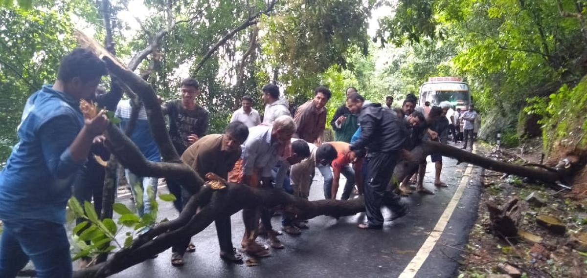 Bus crew and passengers clear a fallen tree on Agumbe Ghat Road.