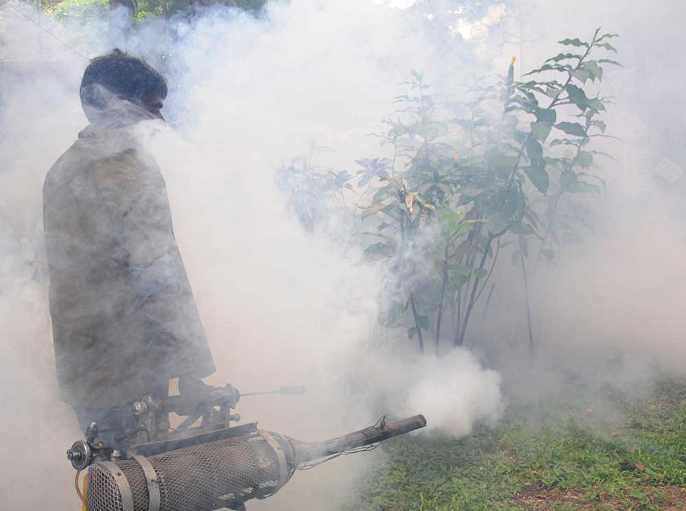 Of the 5,319 cases of dengue across Karnataka, Bengaluru has topped the chart with 3,393 cases till July. (DH File Photo)