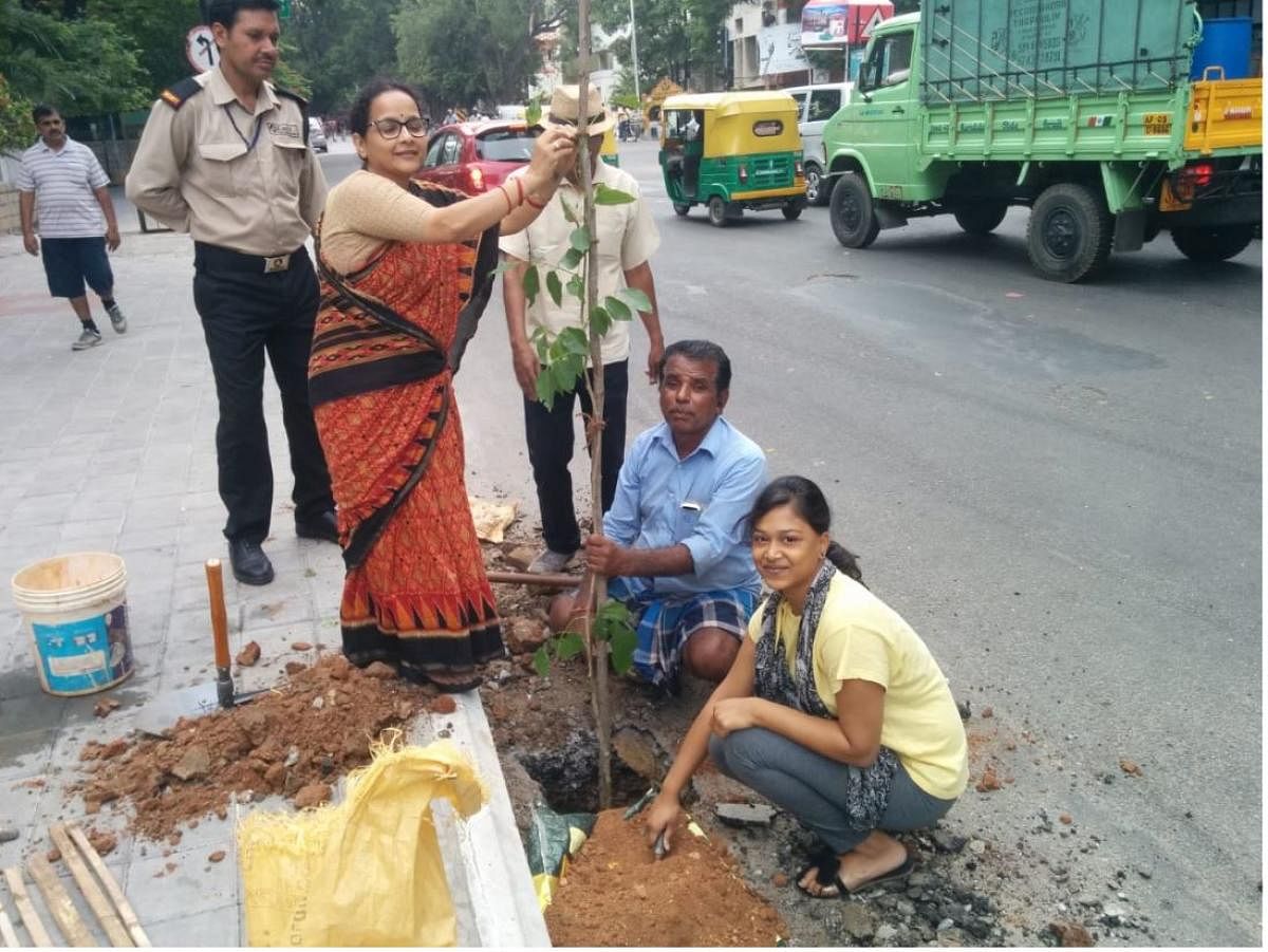 Hasiru Ratha volunteers plant a sapling.