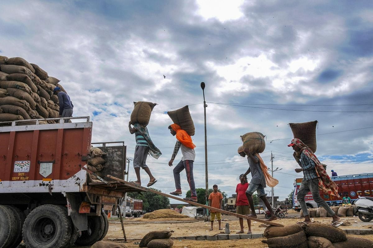 2019 is the worst monsoon experienced by in India since 2014 with only 17% of districts receiving excess rain while 51% getting a deficient shower, as on July 17. (PTI File Photo)