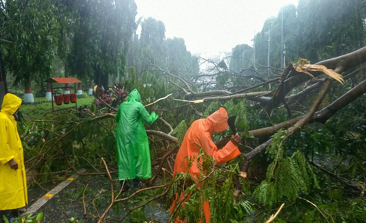 A wind uprooted trees are removed from a road after Cyclone Fani made landfall, in Bhubaneswar, Friday, May 3, 2019. (PTI Photo)