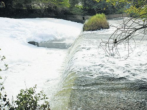 Residents of Raja Rajeshwari Nagar and other nearby areas are gearing up to save the Vrushabhavathi River, a tributary of Arkavathi.  (DH Photo)
