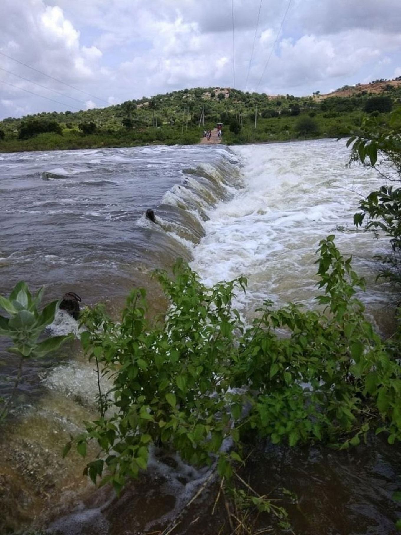 The state government has narrowed the ecological buffer zone around the Arkavathi and Kumudvathi rivers by 50%, in a jolt to protection efforts. (File Photo)