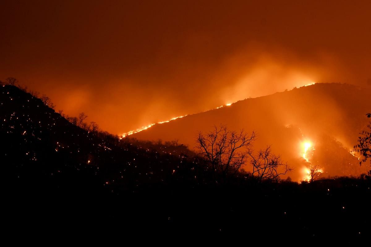 Bandipur: Flames rise after a forest fire at Bandipur Tiger Reserve, in Bandipur. (PTI Photo)