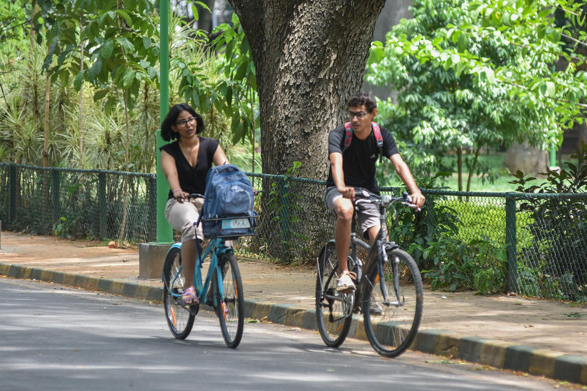 You can rent bicycles at Cubbon Park.