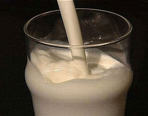 Milk consumption in the State has gone up substantially in the past five years. As per statistics provided by Karnataka Milk Federation (KMF), the largest cooperative dairy federation in the region, in the past five years, the daily sales of liquid milk (other than milk products including milk powder) have shot up from 26 lakh litres per day five years ago, to 35 lakh litres on an average on any given day. Reuters photo