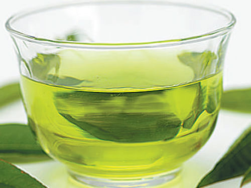 Ten milligrams of green tea caused morphological abnormalities in reproductive organs such as testicular and ovarian atrophy. DH File Photo.