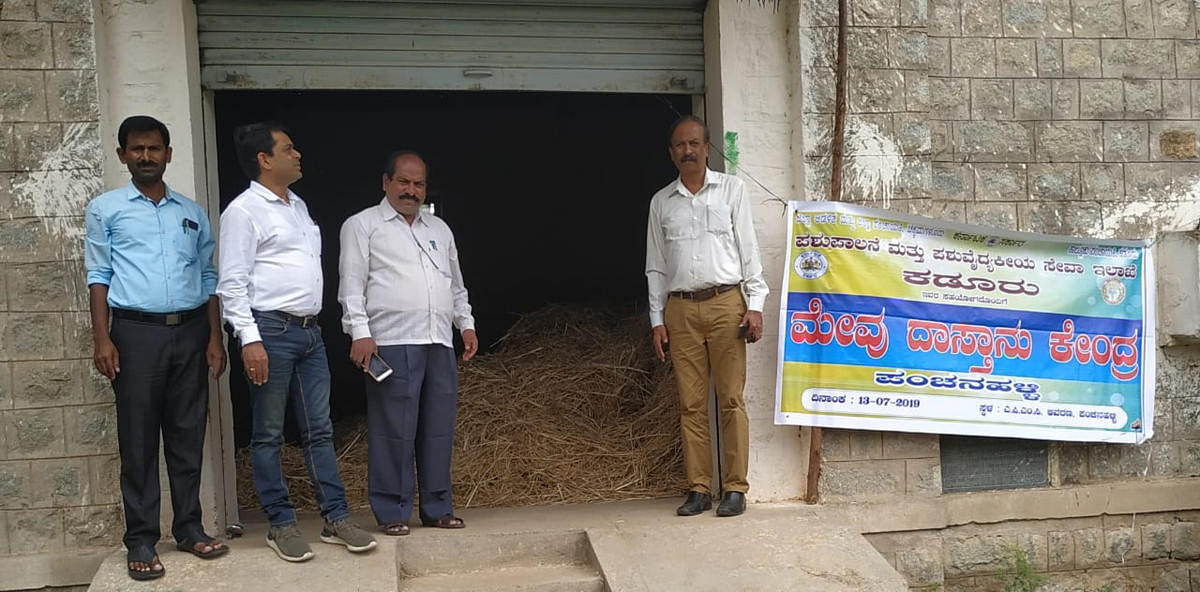 The fodder stockyard at Panchanahalli APMC yard in Kadur taluk.