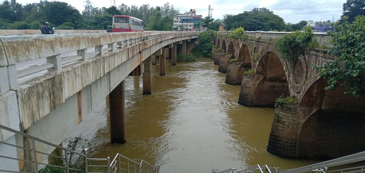 River Cauvery at Kushalnagar bridge. (DH Photo)