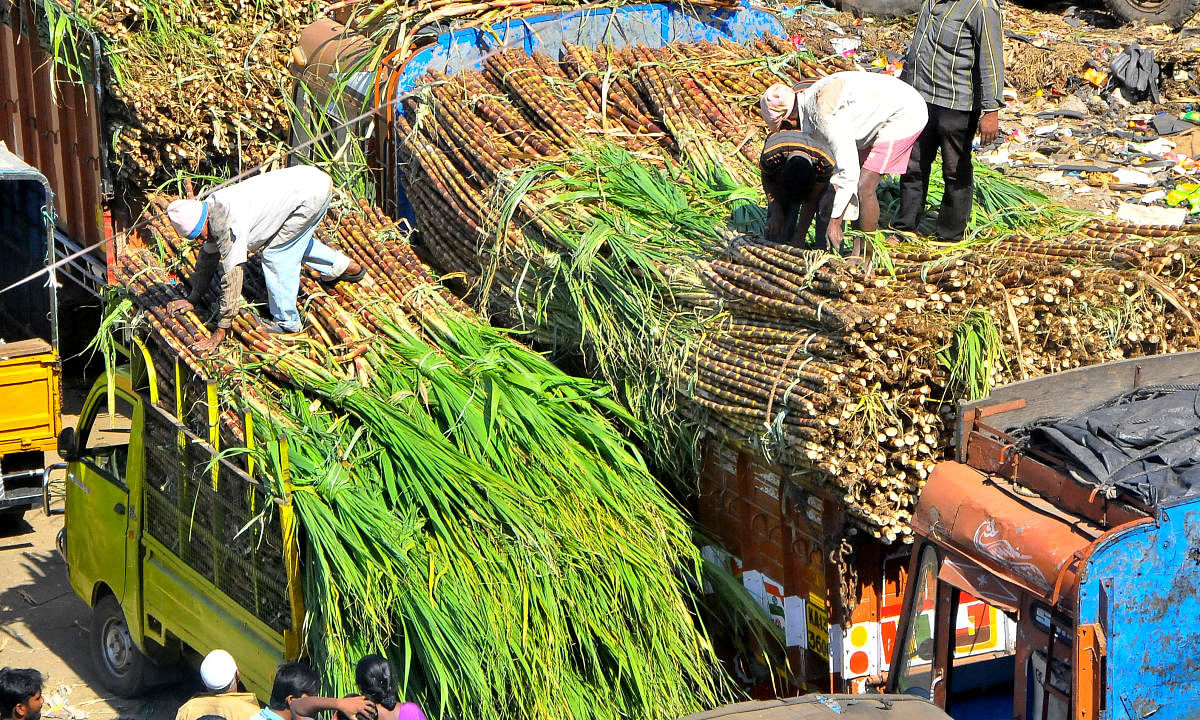 Workers offloading sugarcane from trucks at K R Marketin Bengaluru. DH Photo/B K Janardhan