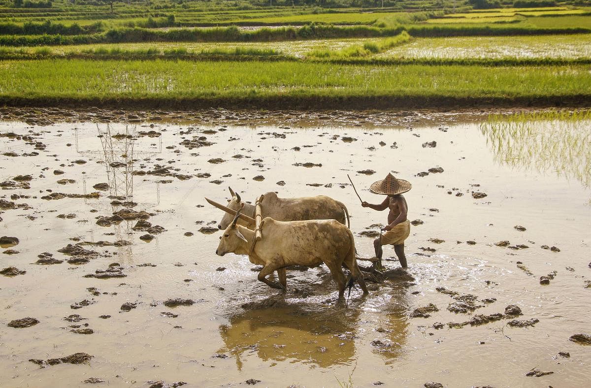 Several parts of Odisha including state capital Bhubaneswar received heavy rainfall in the last twenty-four hours under the impact of a depression formed in the Bay of Bengal near the state’s coastline. PTI file photo