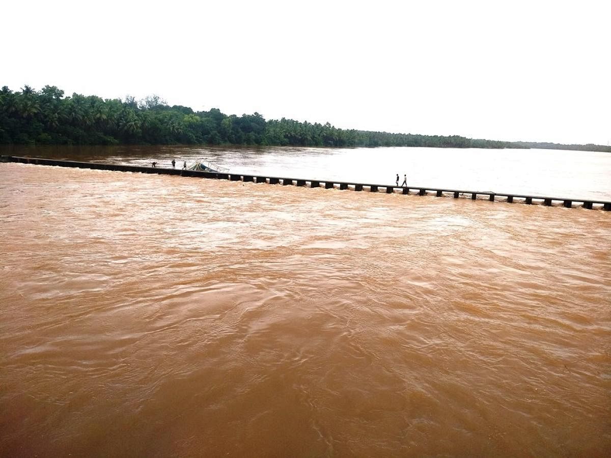 A vented dam built across River Sauparnika is brimming with water at Bantwadi in Kundapura.