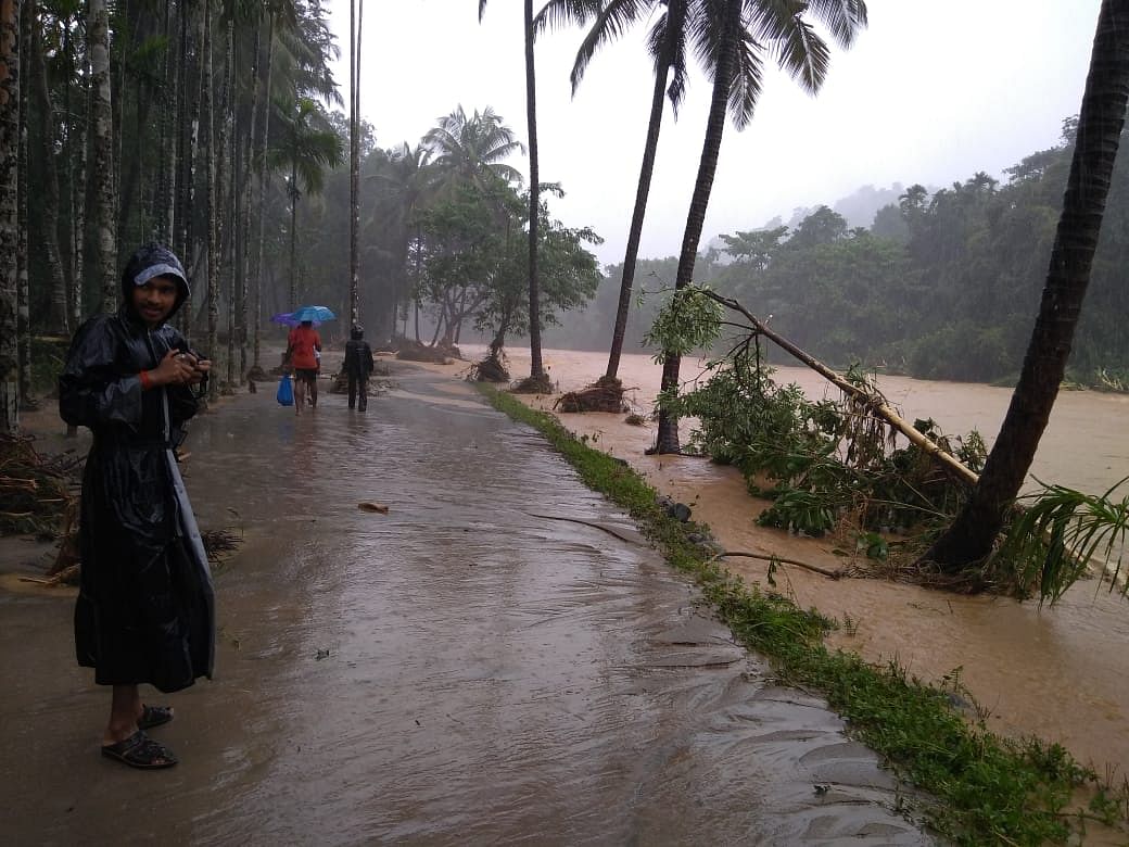 Residents of Charmady and surrounding villages in Dakshina Kannada district, living right at the foot of Western Ghats, are not averse to heavy rainfall as annual rainfall surpasses 3,000 mm in the region. DH photo
