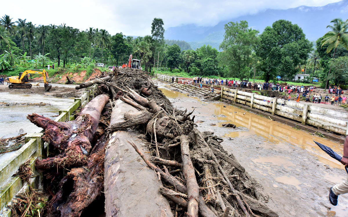 Driftwood brought by flash flood on Kukkavu bridge in Belthangady taluk. DH Photo/Govindraj Javali