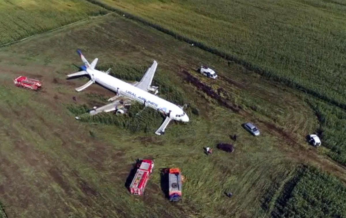 In this video grab provided by the RU-RTR Russian television, a Russian Ural Airlines' A321 plane is seen after an emergency landing in a cornfield near Ramenskoye, outside Moscow, Russia (AP/PTI Photo)