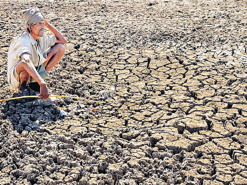 Experts warn climate change may cause extreme conditions, drought in some areas and floods in others. DH FILE PHOTO