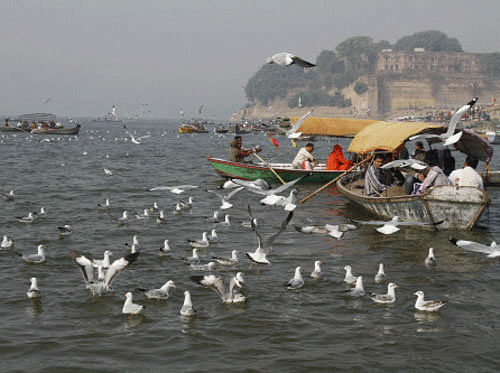River Ganga. AP File photo for representation purpose only