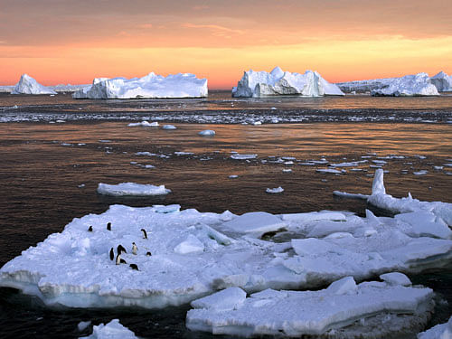 Scientists monitoring conditions at the base say the average temperature here has increased by 2.5 degrees Celsius (4.5 degrees Fahrenheit) over the past century. Reuters file photo