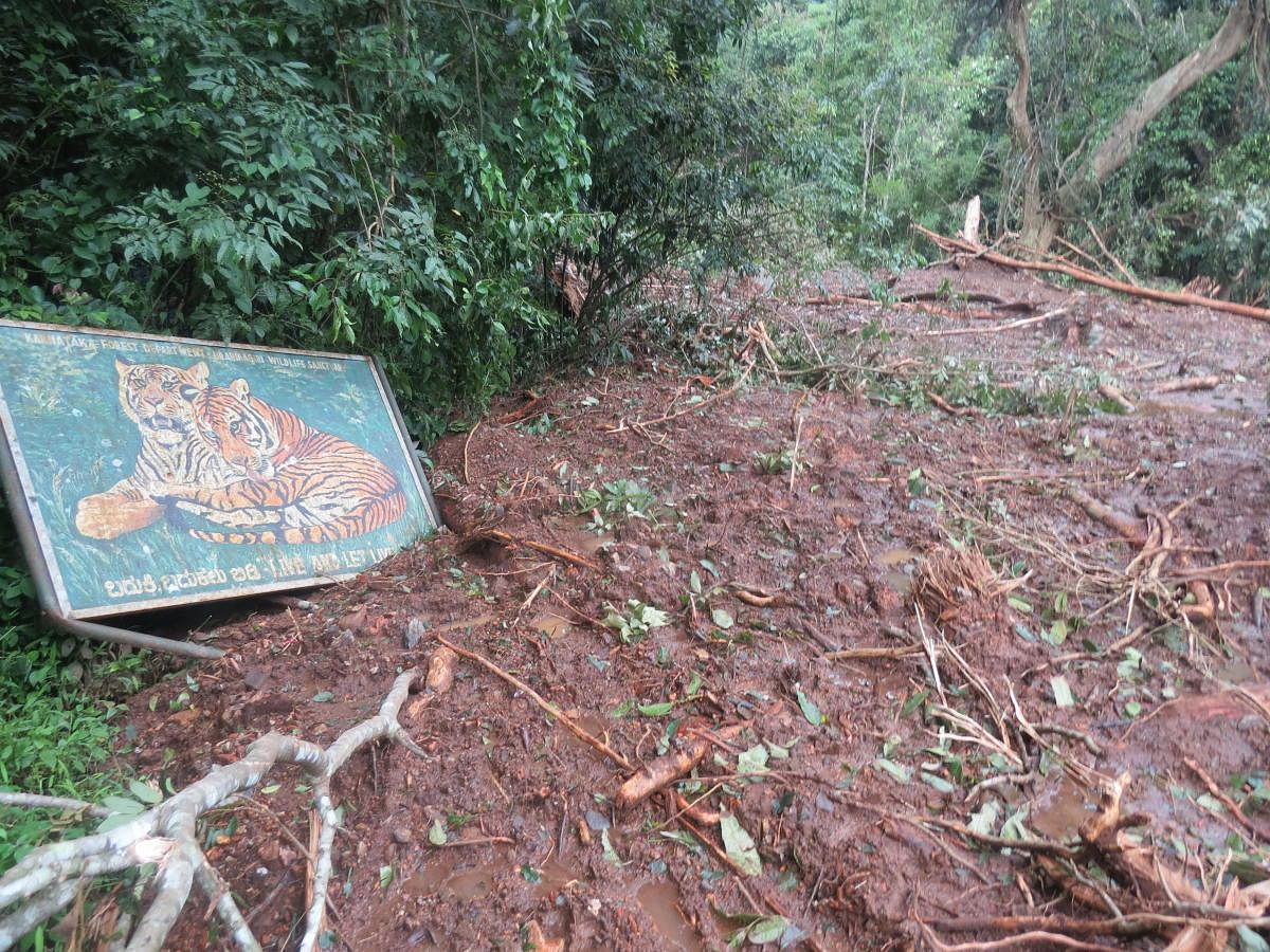 The road leading to the falls is damaged due to landslides.