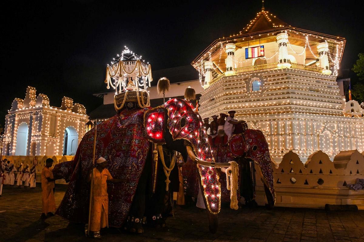 TOPSHOT - In this photograph taken on August 14, 2019 elephants decorated for the "Esala Perahera" festival are lead past the Buddhist temple of the Tooth in the ancient hill capital of Kandy, some 116 km from Colombo. (Photo AFP)