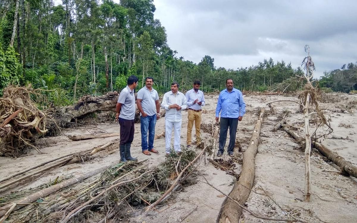 Former minister B B Ningaiah inspects the damaged coffee plantations at Gonibeedu in Mudigere taluk.