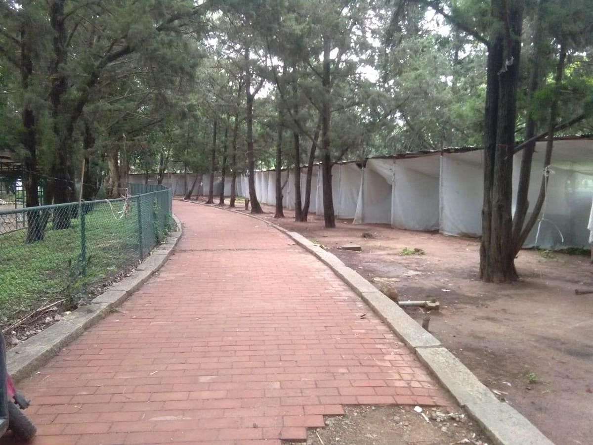 A pathway sports a clean look at the end of the flower show at Lalbagh