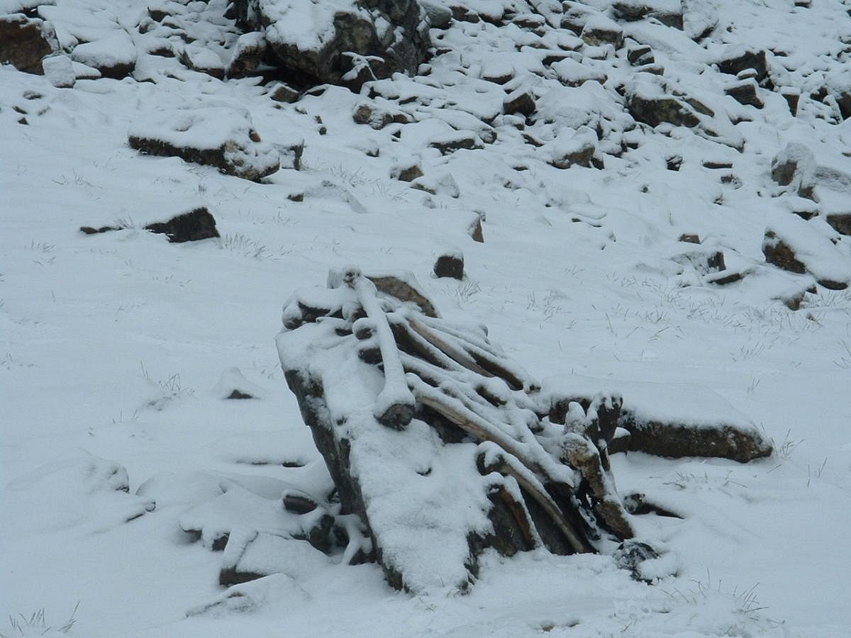 The Roopkund lake at an altitude of 16,500 ft in Chamoli district of Uttarakhand has hundreds of ancient human skeletons around its shores.