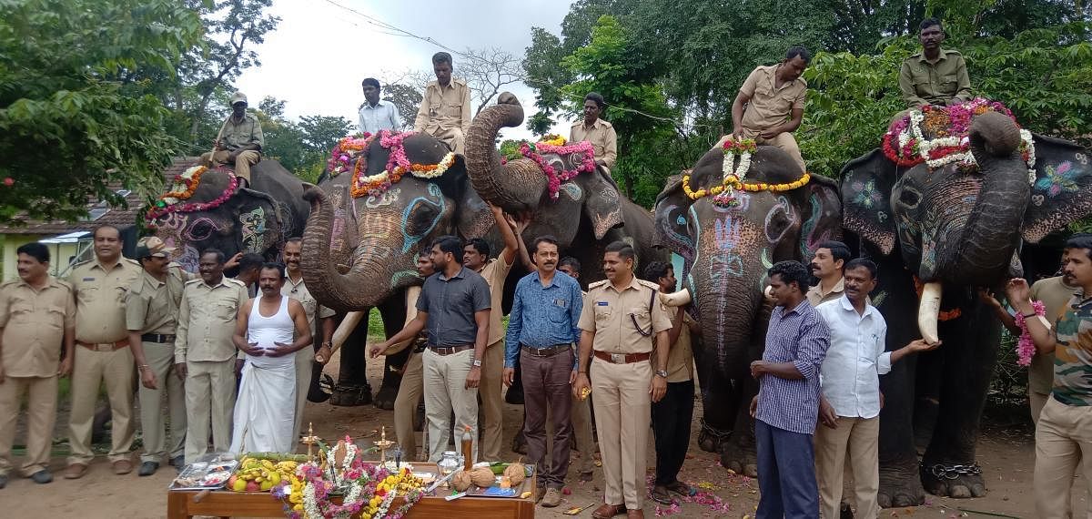 Dasara elephants were given a hearty farewell at Dubare camp in Kushalnagar taluk of Kodagu district on Wednesday.DH photo.