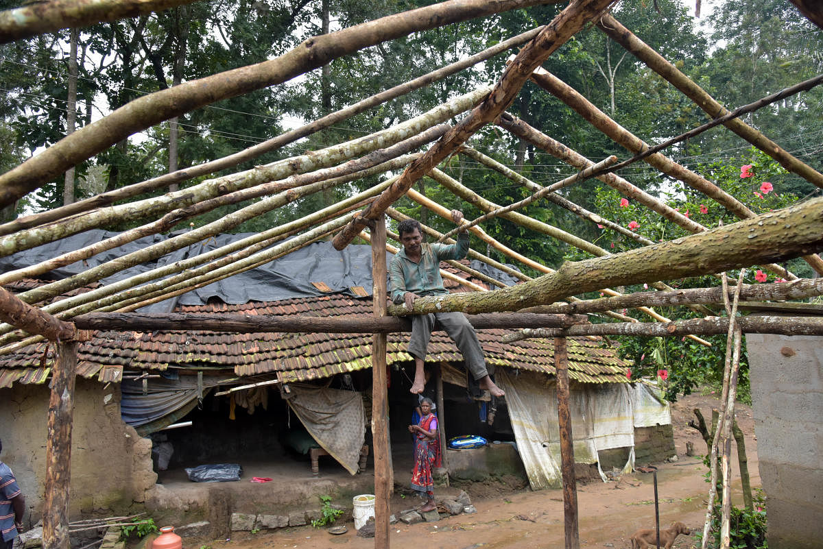 A tribal rebuilds his house after the flood destroyed it at Jungle Hadi, near Thithimathi in Virajpet taluk of Kodagu district. DH photo / B H Shivakumar