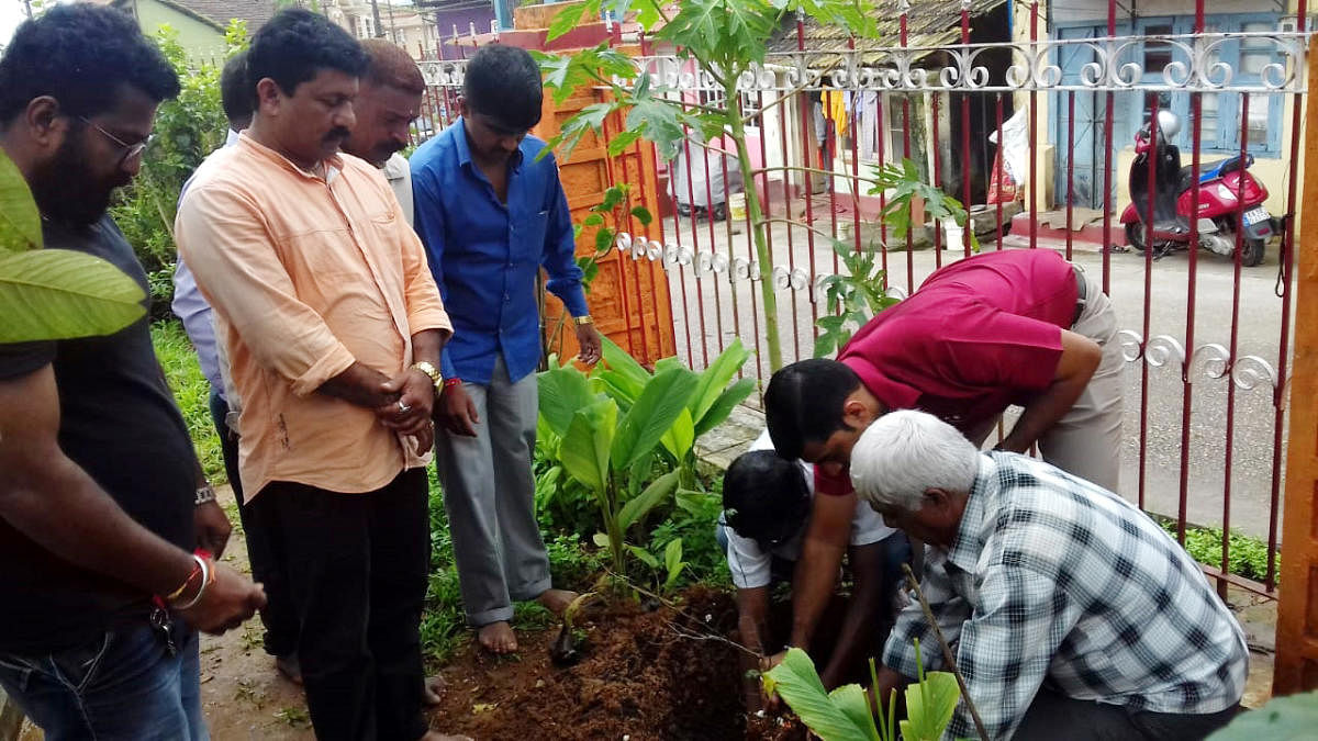 Members of Dasara Dashamantapa Samithi plant banni saplings near Banni Mantapa in Madikeri on Saturday.